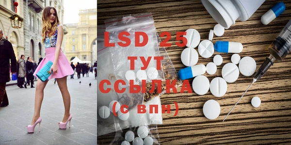 прущие грибы Киренск
