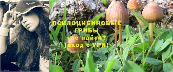 герыч Кирс