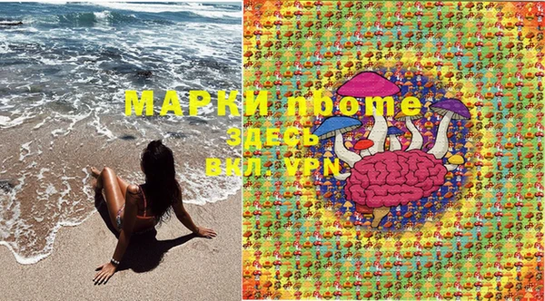 прущие грибы Киренск