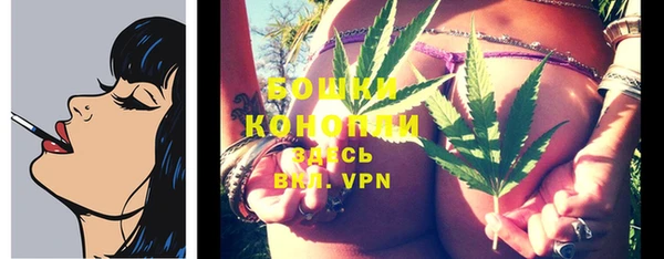 прущие грибы Киренск