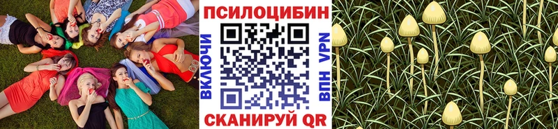 Галлюциногенные грибы Cubensis  купить наркотики сайты  Красноармейск 